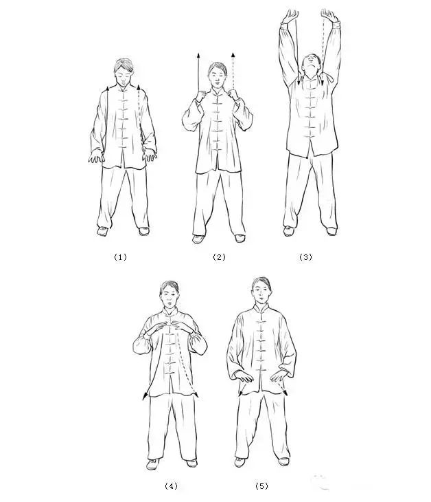 中醫(yī)運動養(yǎng)生—華佗《五禽戲》圖解（二）